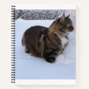 Cuaderno gato del bosque noruego en la nieve