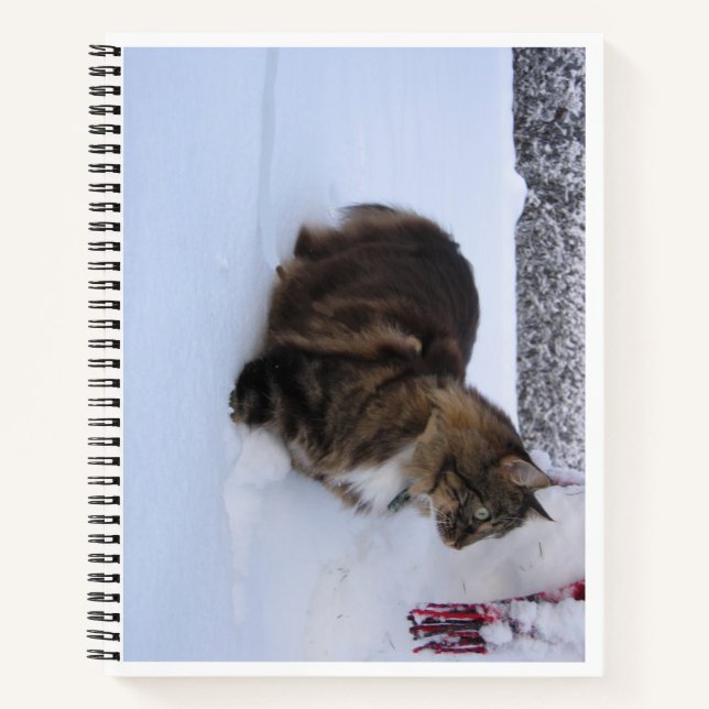 Cuaderno gato del bosque noruego en la nieve (Anverso)
