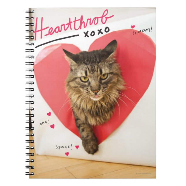 Cuaderno Gato del corazón (Frente)