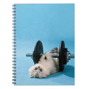 Cuaderno Gato del entrenamiento