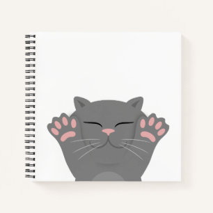 Cuaderno Gato durmiendo