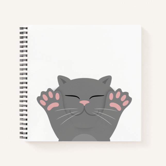 Cuaderno Gato durmiendo (Anverso)