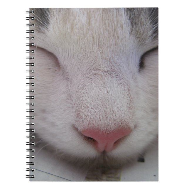 Cuaderno Gato durmiente (Frente)