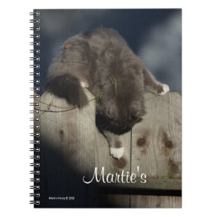 Cuaderno Gato en la cerca (18)