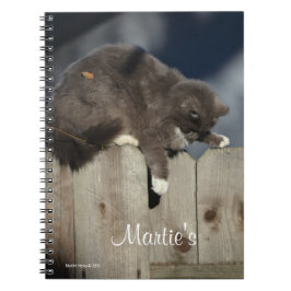 Cuaderno Gato en la cerca (9)