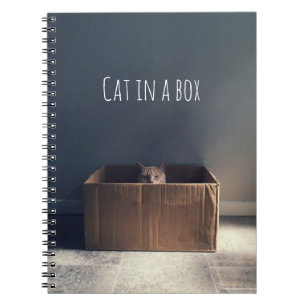 Cuaderno Gato en una caja. El maestro del gato Zen.