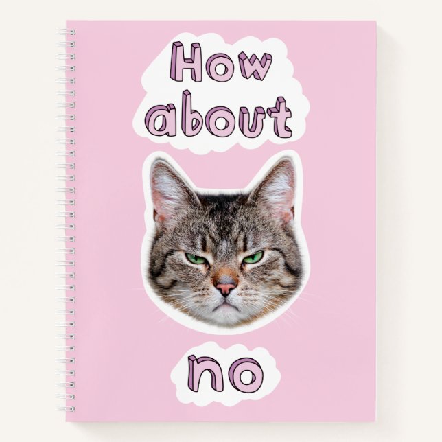 Cuaderno Gato enojado (Anverso)