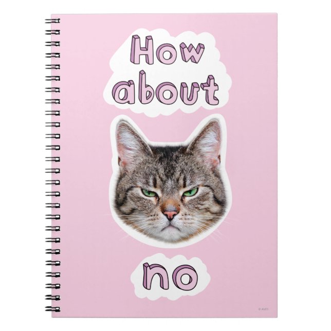 Cuaderno Gato enojado (Frente)