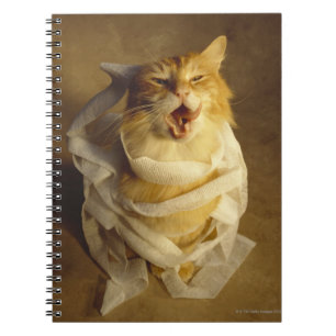 Cuaderno Gato envuelto en gasa médica
