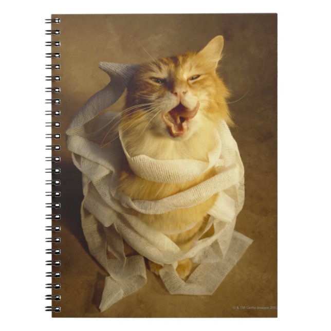 Cuaderno Gato envuelto en gasa médica (Frente)