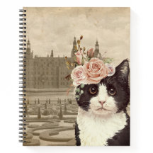 Gato Fancy y la receta del castillo