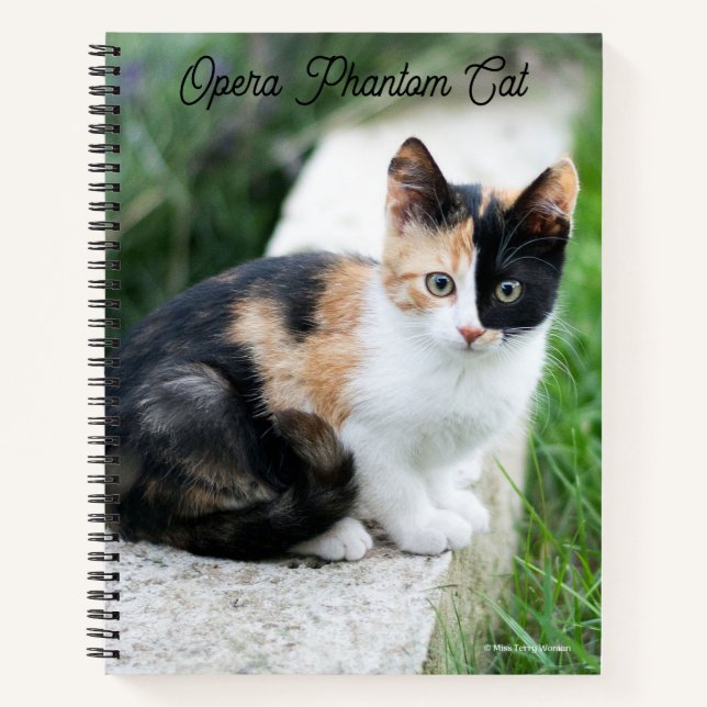 Cuaderno Gato Fantasma de la Ópera (Anverso)