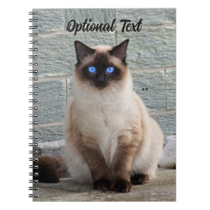 Cuaderno Gato Fluffy personalizado con ojos azules