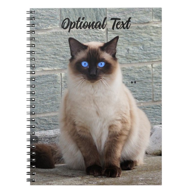 Cuaderno Gato Fluffy personalizado con ojos azules (Frente)