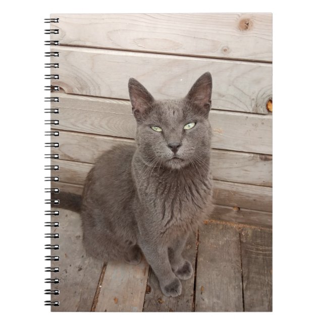Cuaderno Gato gris (Frente)