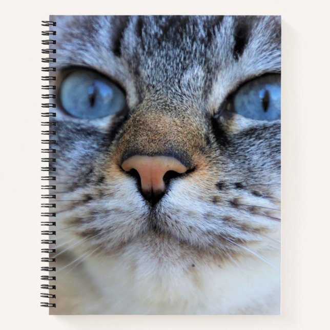Cuaderno Gato gris (Anverso)