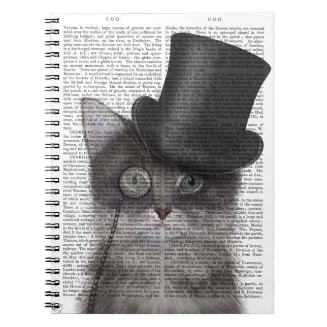 Cuaderno Gato gris con sombrero superior (Frente)