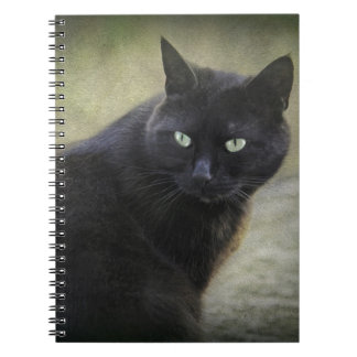 Cuaderno Gato macho negro con ojos verdes