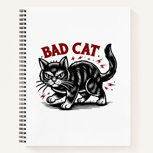 Cuaderno Gato malo (Anverso)