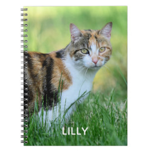 Cuaderno Gato marrón y blanco