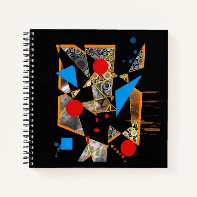 Cuaderno Gato misterioso (Anverso)