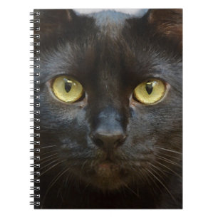 Cuaderno Gato negro