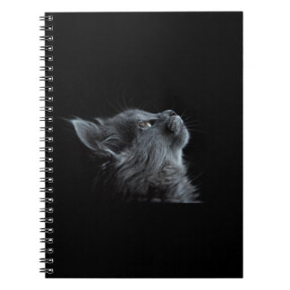 Cuaderno Gato negro