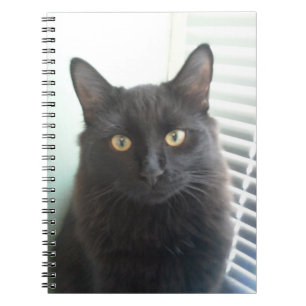 Cuaderno Gato negro