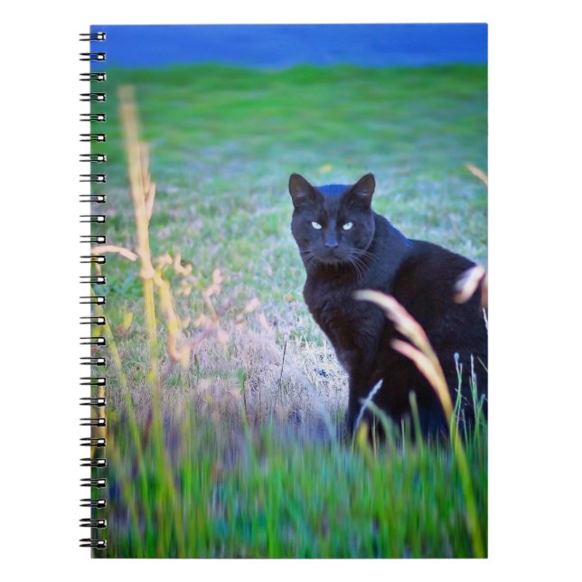 Cuaderno Gato negro (Frente)