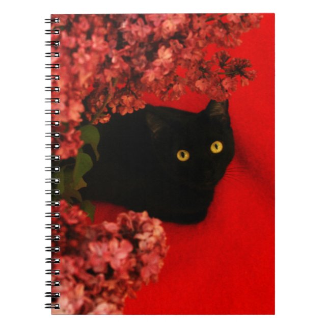 Cuaderno gato negro (Frente)