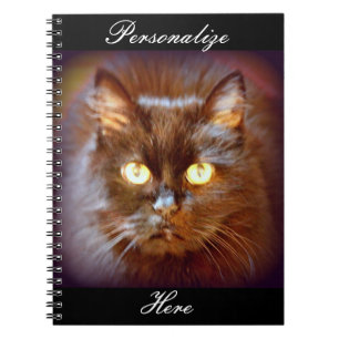 Cuaderno gato negro