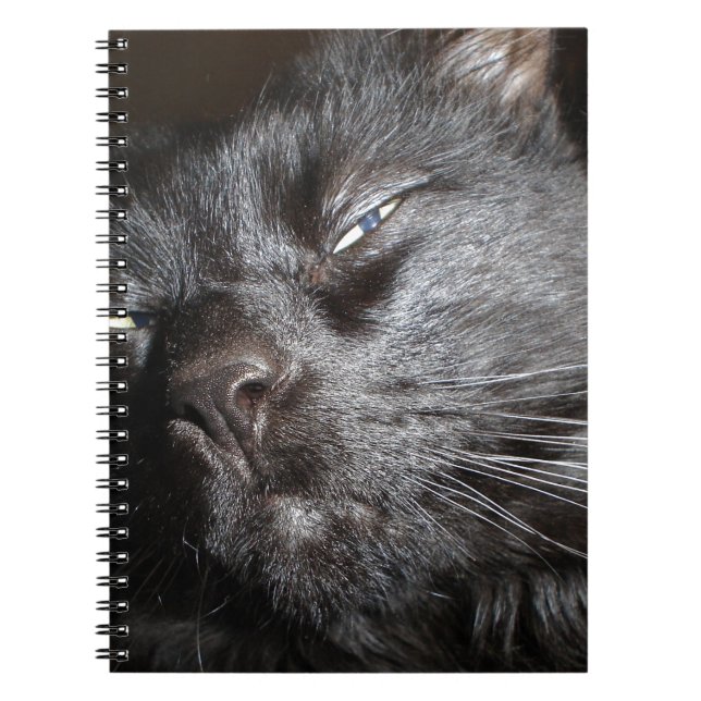 Cuaderno Gato negro - oh venga sí conseguirlo (Frente)