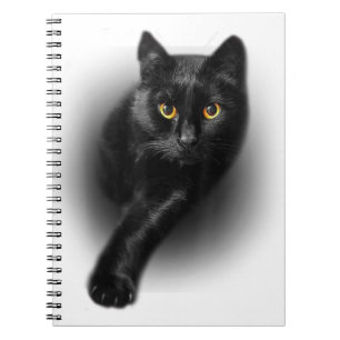 Cuaderno Gato negro ojos amarillos