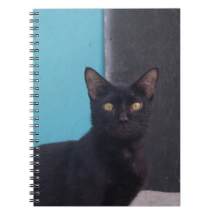 Cuaderno Gato negro sorprendido