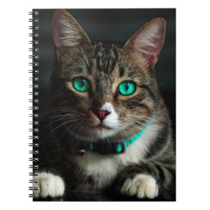 Cuaderno Gato Ojo Verde