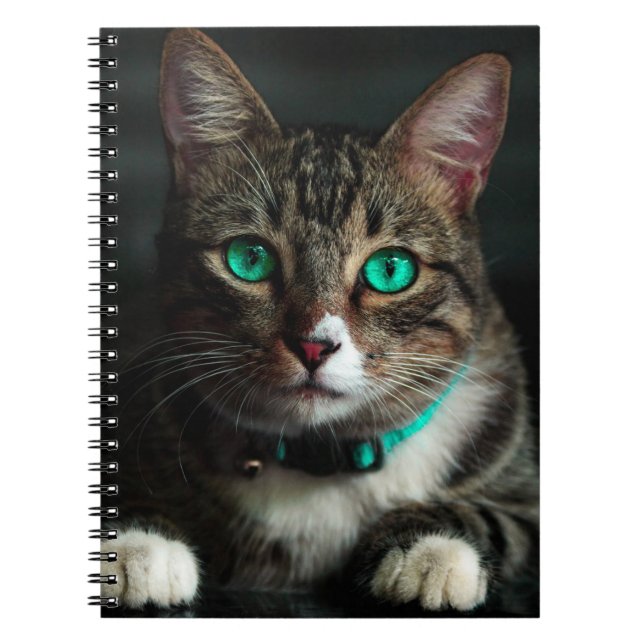 Cuaderno Gato Ojo Verde (Frente)