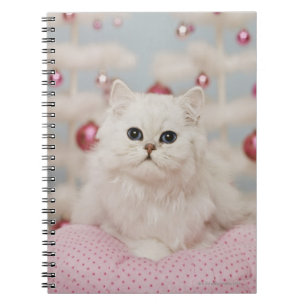 Cuaderno Gato persa que se sienta en la almohada rosada