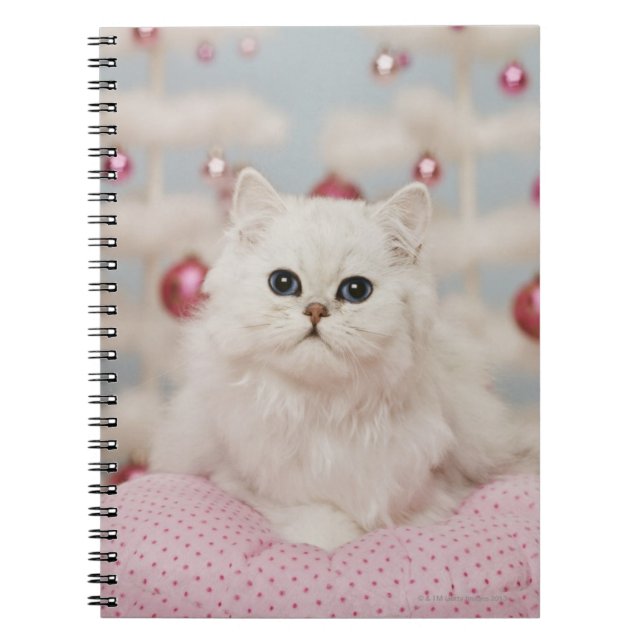 Cuaderno Gato persa que se sienta en la almohada rosada (Frente)
