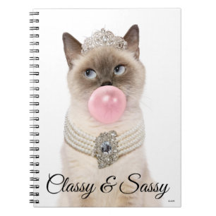 Cuaderno Gato Princesa Soplando Goma De Burbuja