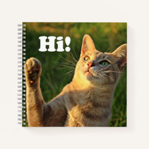 Cuaderno Gato Rojizo Diciendo Hola!