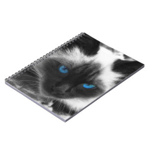 Cuaderno Gato siamés