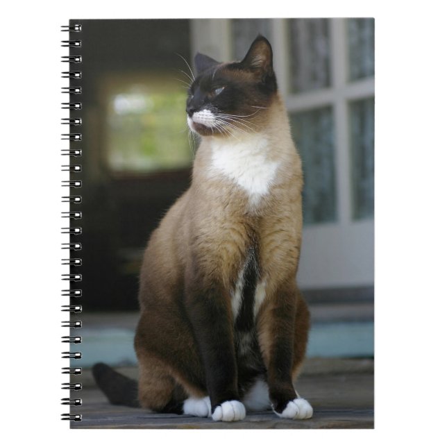 Cuaderno Gato siamés en el corredor (Frente)