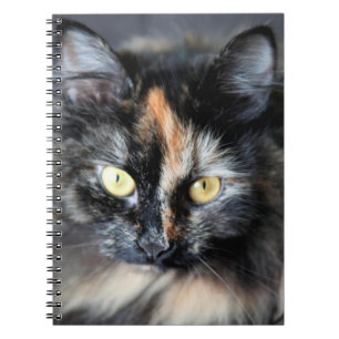 Cuaderno Gato Siberiano