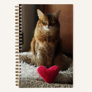 Cuaderno Gato somalí con corazón