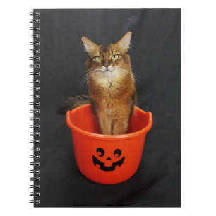Cuaderno Gato somalí de truco o trato