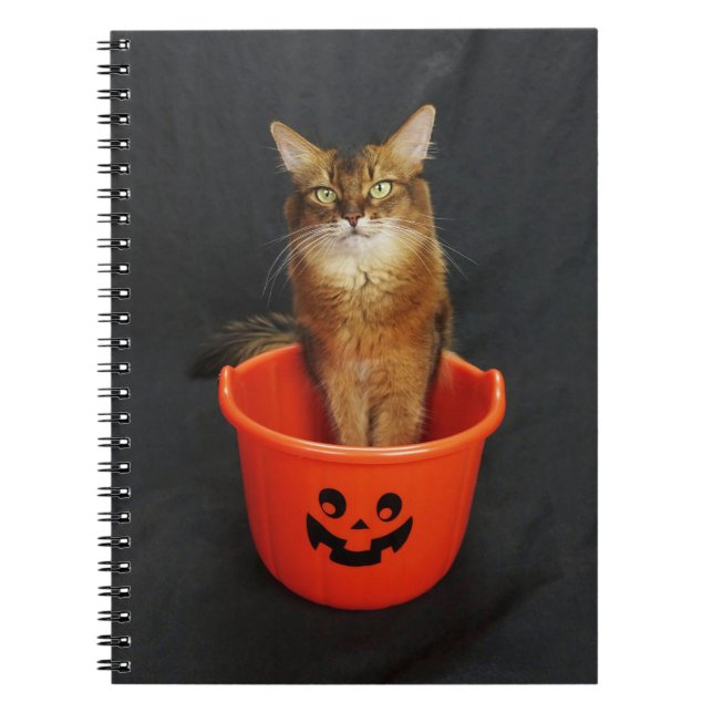 Cuaderno Gato somalí de truco o trato (Frente)