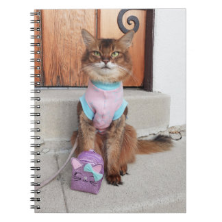 Cuaderno Gato somalí de vuelta a la escuela con una pequeña