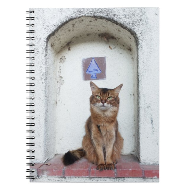Cuaderno Gato somalí en alcohólica escena del viejo mundo (Frente)