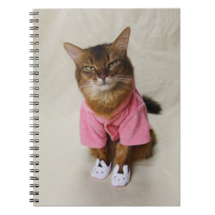 Cuaderno Gato somalí en robos y zapatillas