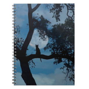 Cuaderno Gato y Luna